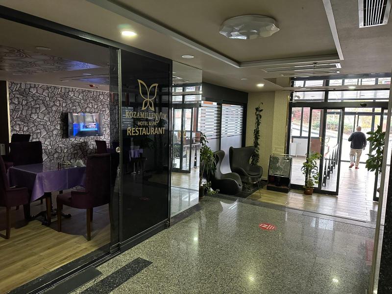 Koza Millenyum Spa Hotel image