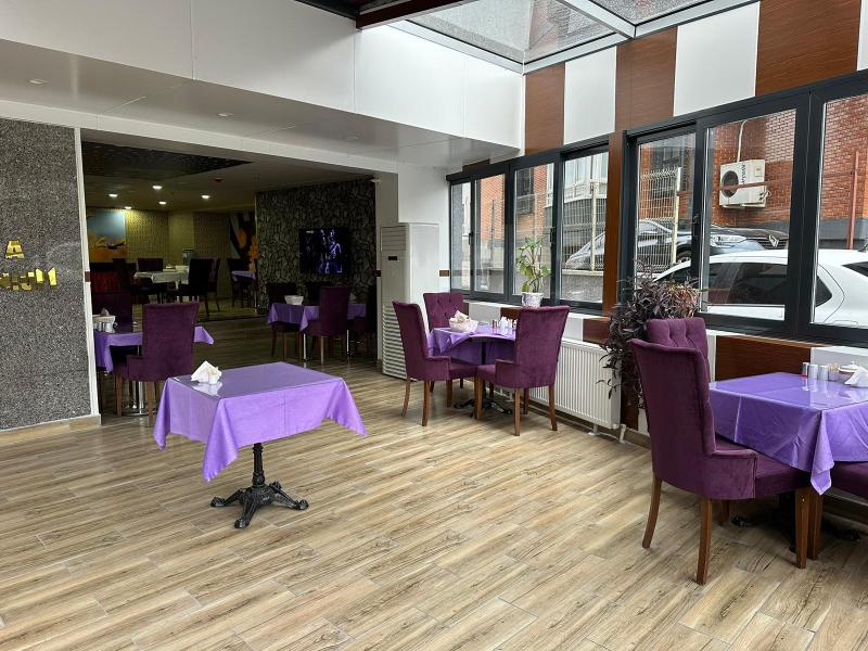 Koza Millenyum Spa Hotel image