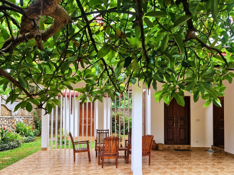 Blue Lotus Yoga House image