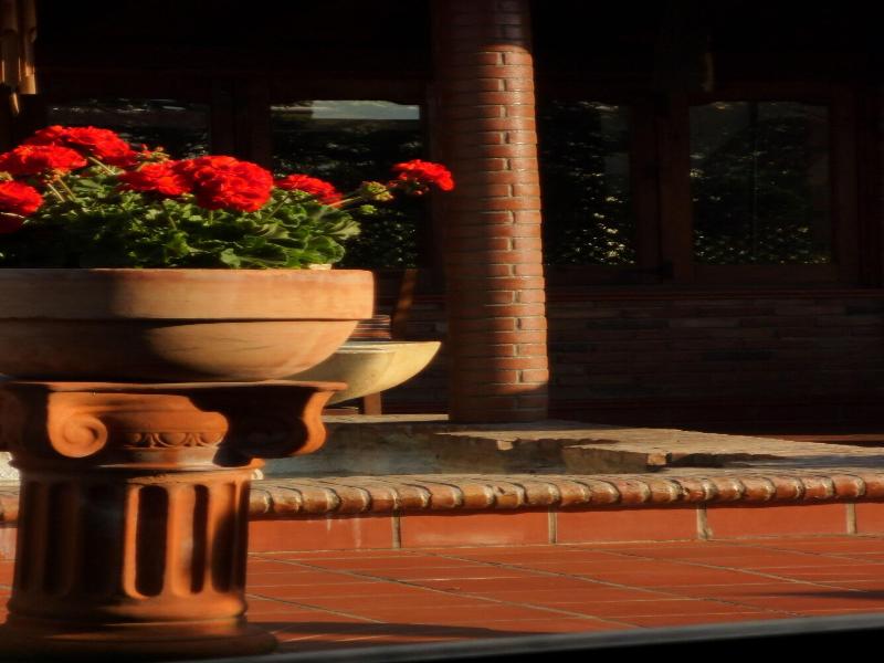 Drini Hotel image