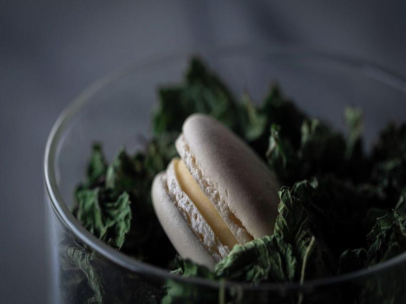 Jijijin Mastsuyama image