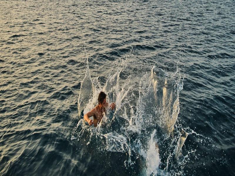 Avali, Mar-bella Collection image