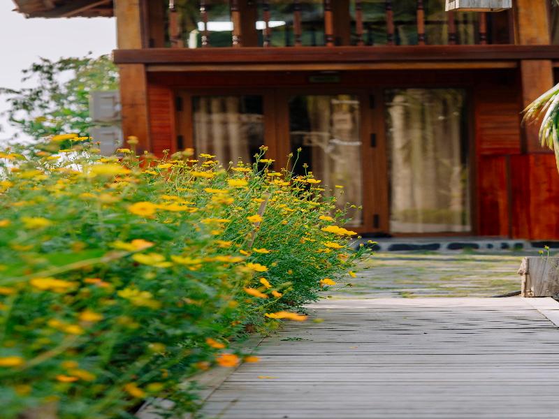 The Healing Camp - Uncommon Stay