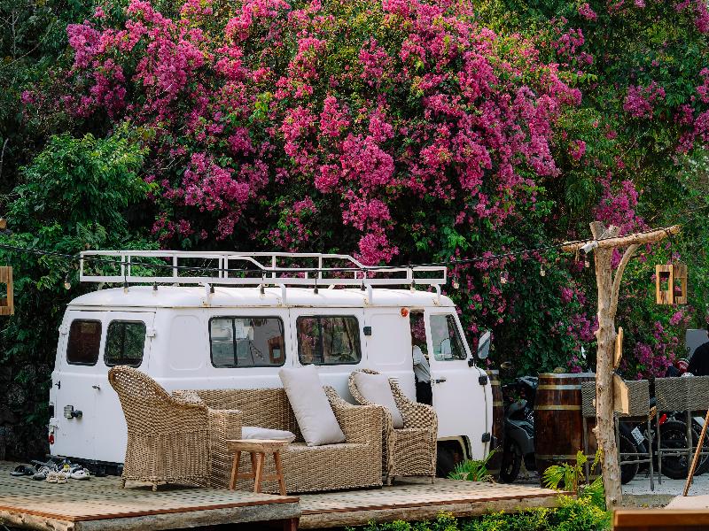 The Healing Camp - Uncommon Stay