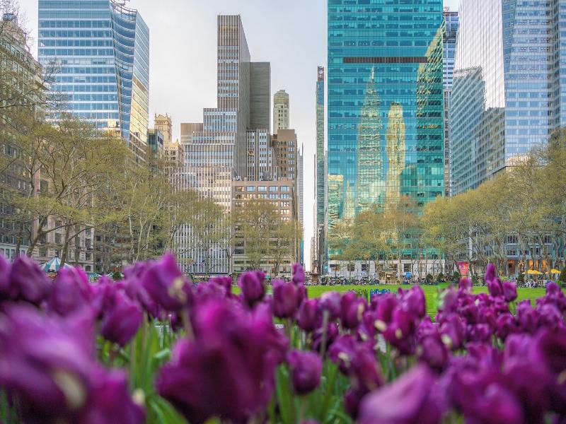 Kimpton Era Midtown New York By Ihg image