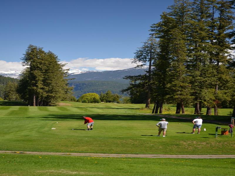 Kaslo Hotel