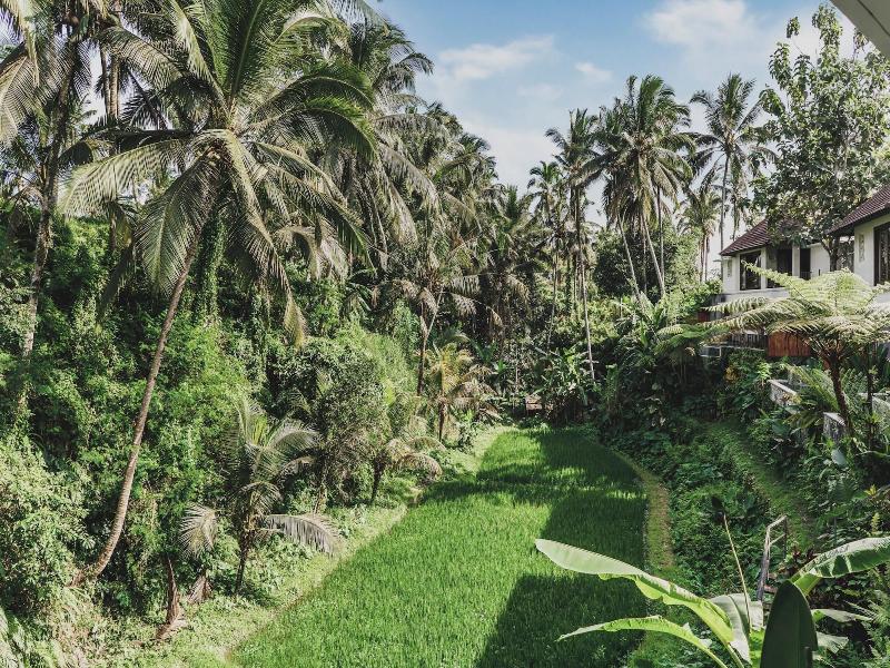 Dedary Resort Spa Ubud By Ini Vie Hospitality image