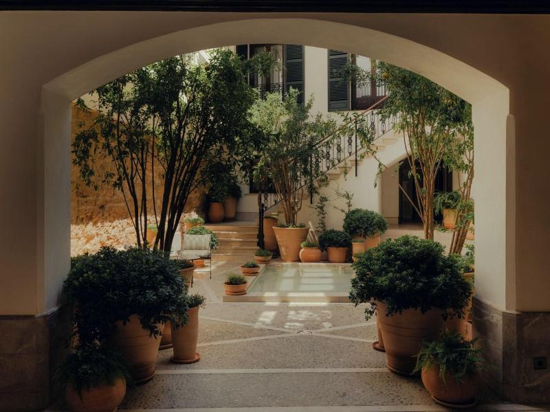 Portella Palma image