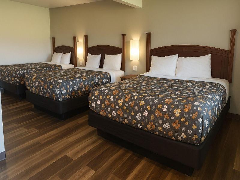 American Inn Suites — view