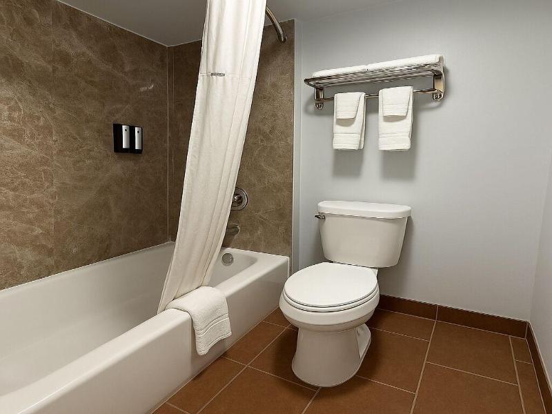 American Inn Suites image