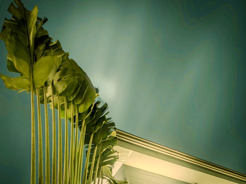Junglo Resort & Spa image