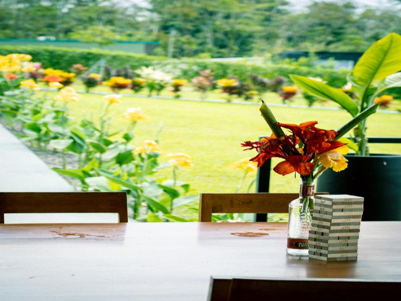 Junglo Resort & Spa image