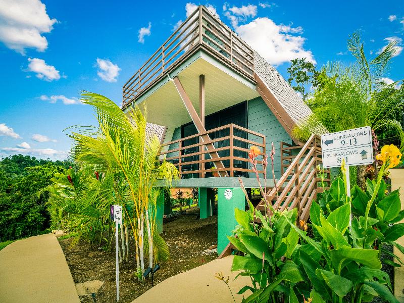 Junglo Resort And Spa image
