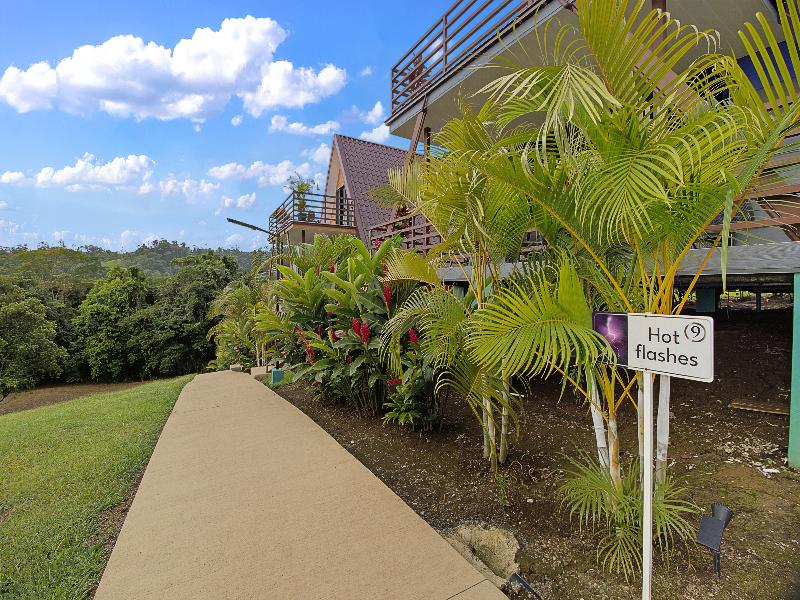 Junglo Resort And Spa image