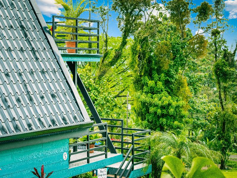 Junglo Resort And Spa image