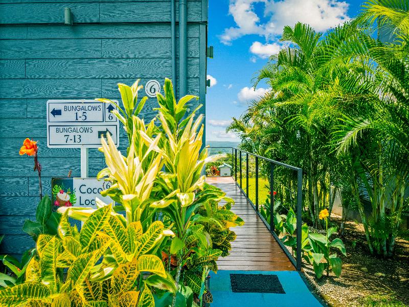 Junglo Resort And Spa image