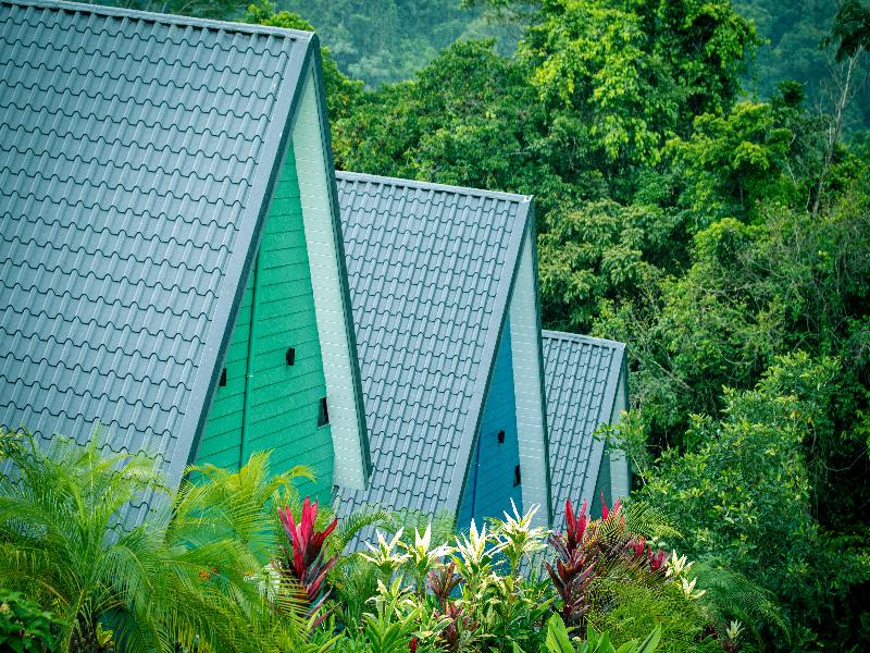 Junglo Resort & Spa image