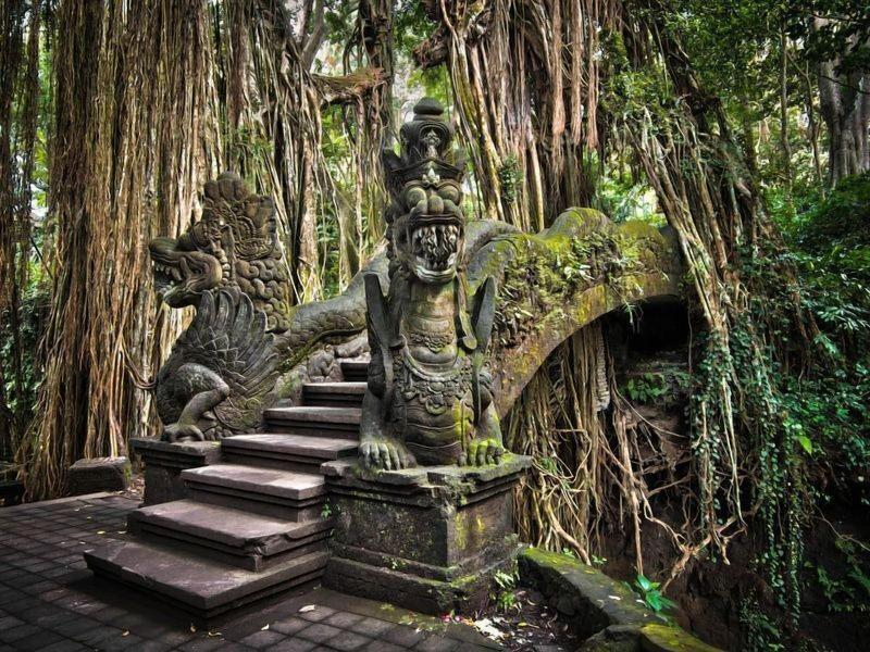 Sabana Ubud image
