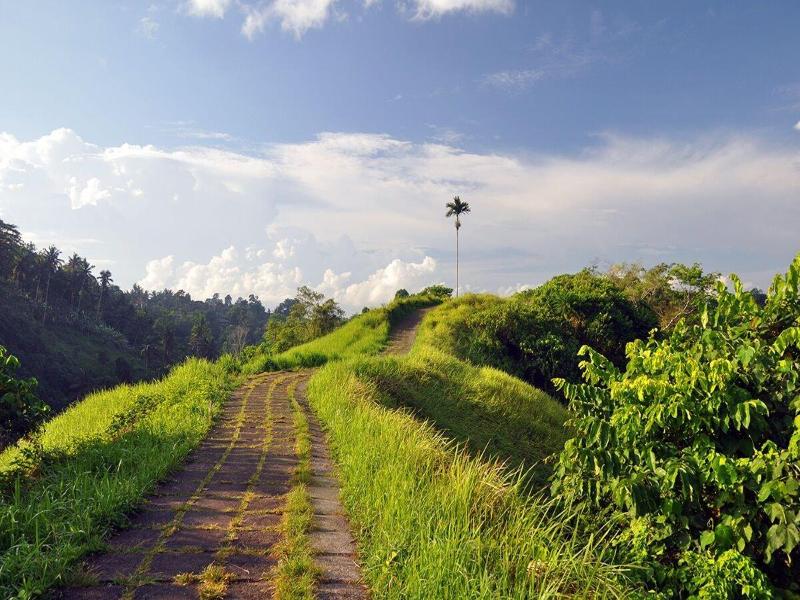 Sabana Ubud image