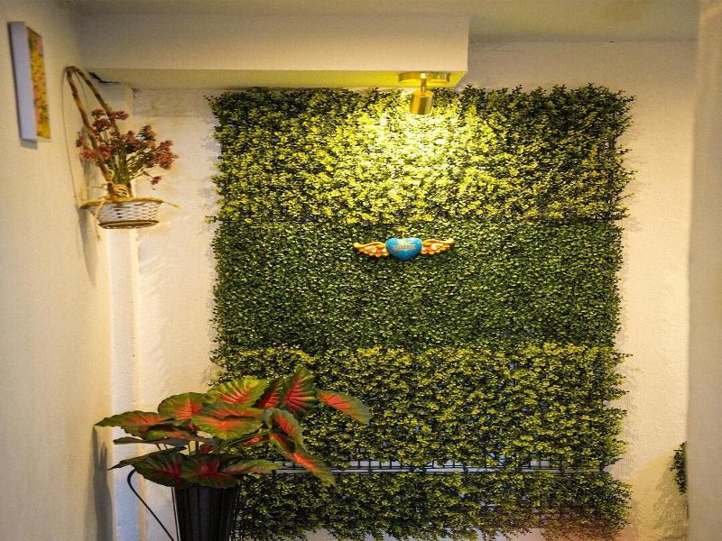 Casa Antade image