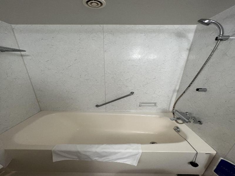 Hotel Tatsumi Club image