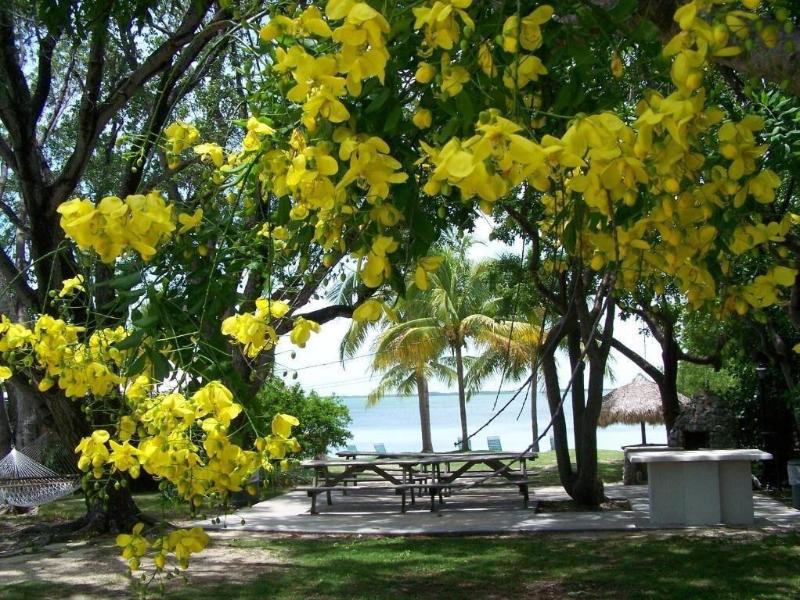 Rock Reef Resort