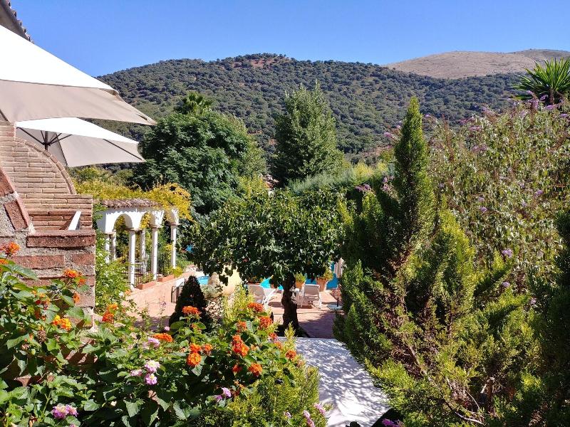 Molino del Santo image