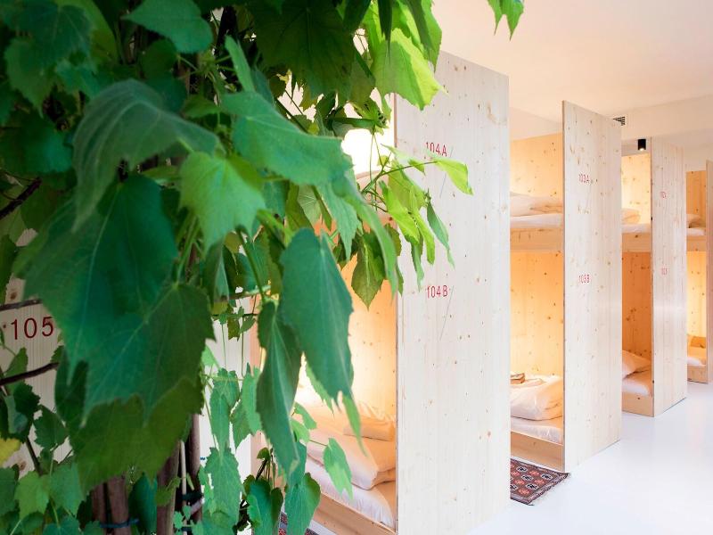 The Green Elephant Hostel Spa image