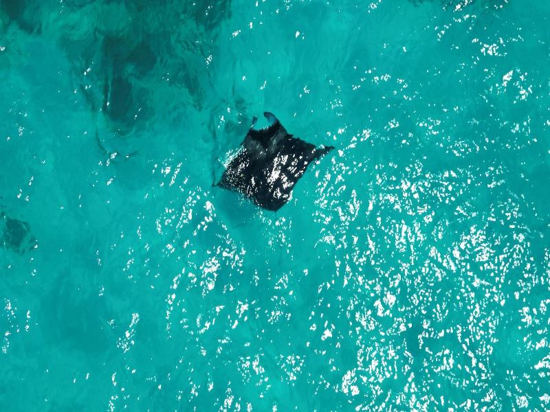 Viva Beach Spa Maldives image