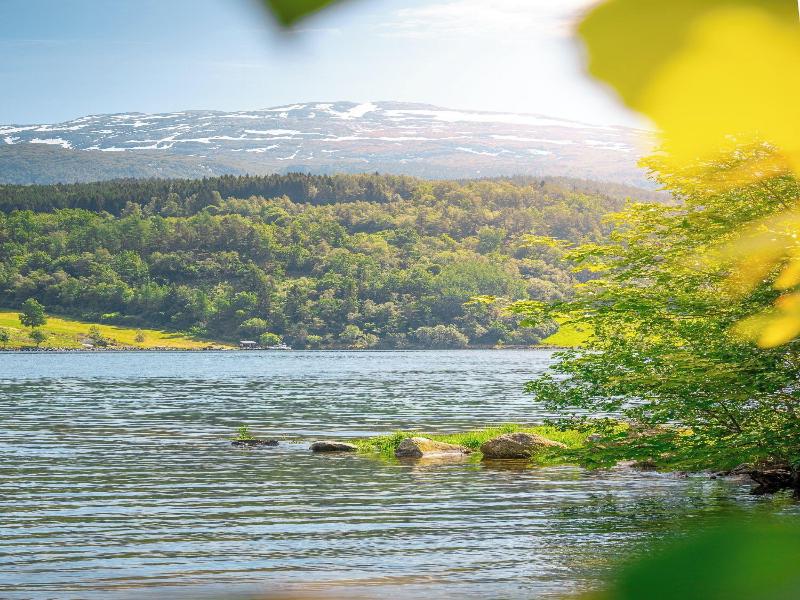 Hardanger Guesthouse