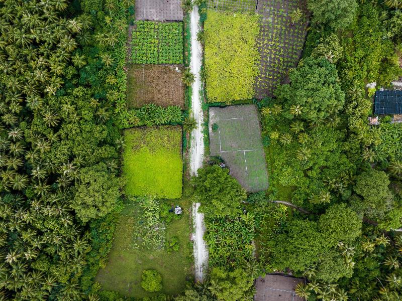 Island Zephyr image