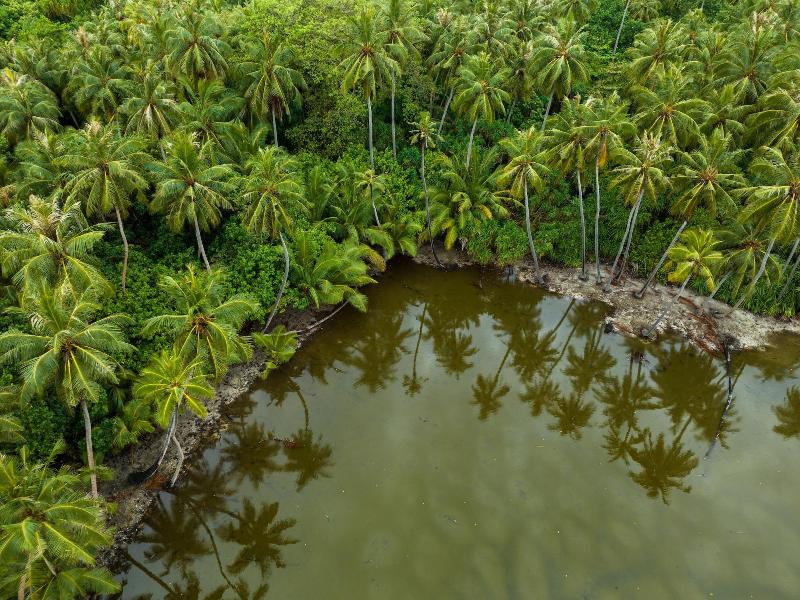 Island Zephyr image