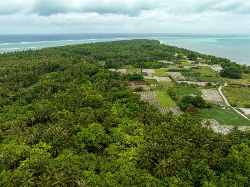 Island Zephyr image
