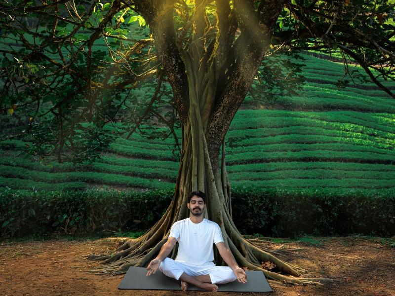 The Grand Cliff Resort Munnar image