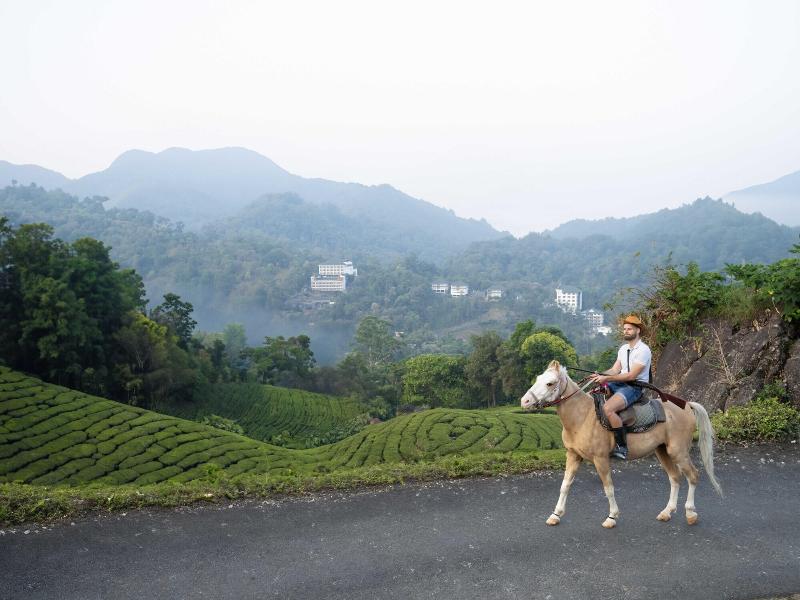 The Grand Cliff Resort Munnar image