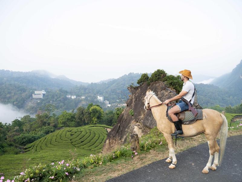 The Grand Cliff Resort Munnar image
