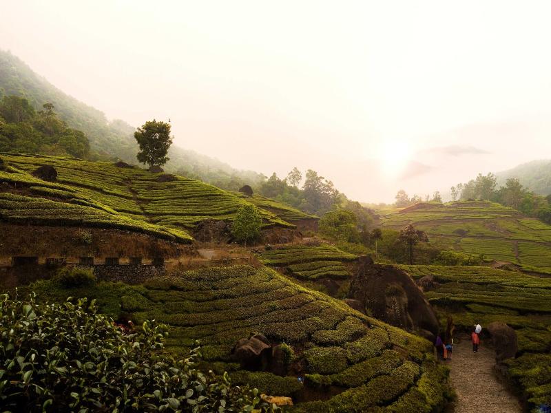 The Grand Cliff Resort Munnar image