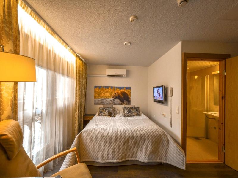 Hotel Aateli Lakeside image