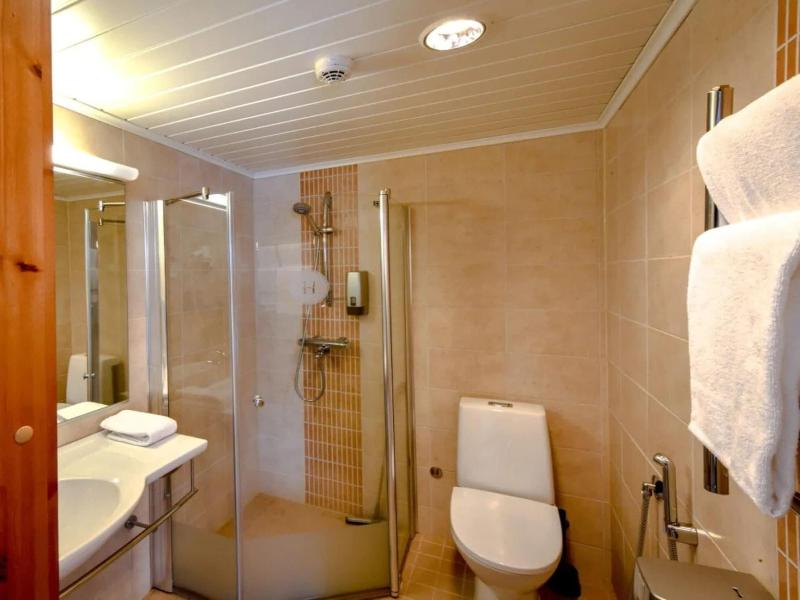 Hotel Aateli Lakeside image