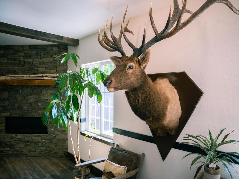 Blue Elk Inn
