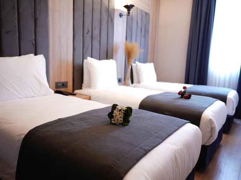 Mineo Hotel Taksim image