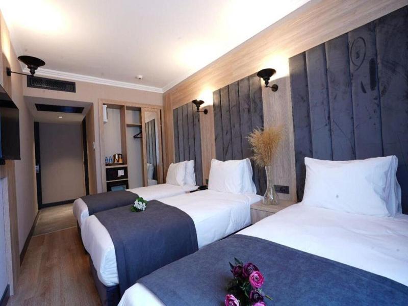 Mineo Hotel Taksim image