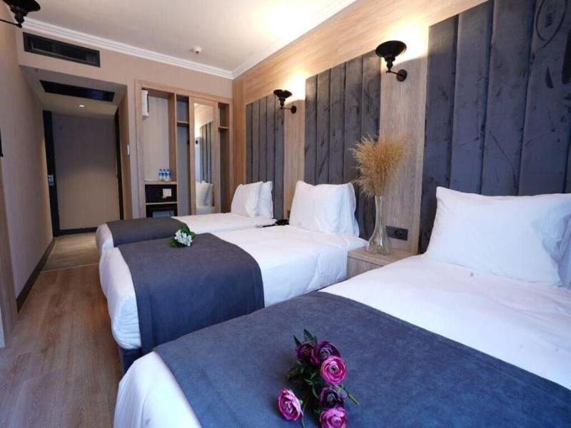 Mineo Hotel Taksim image