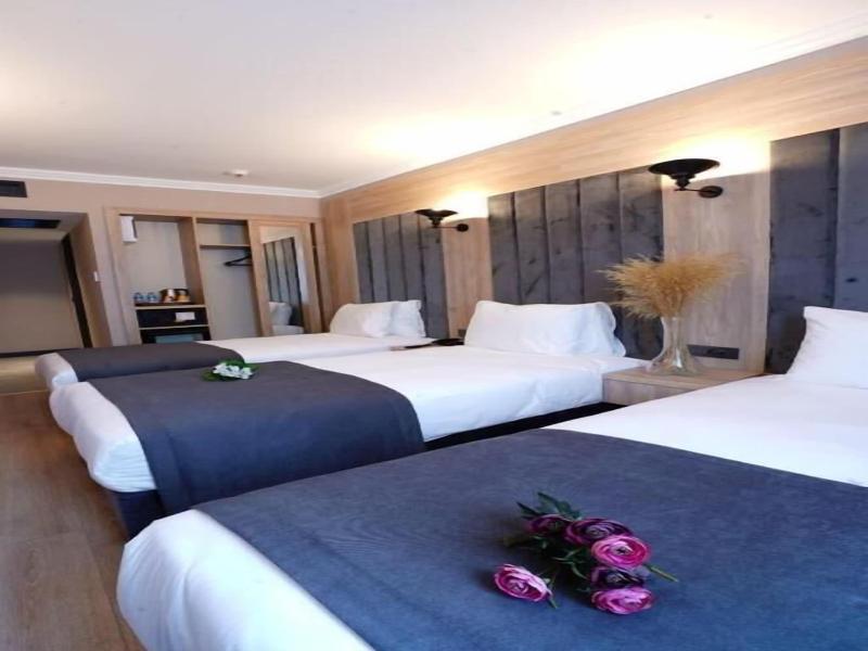 Mineo Hotel Taksim image