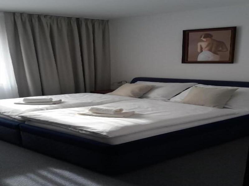 Zamecek Pod Hradem Hotel image