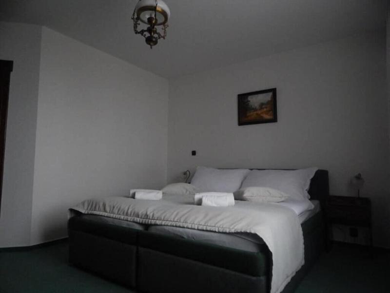 Zamecek Pod Hradem Hotel image
