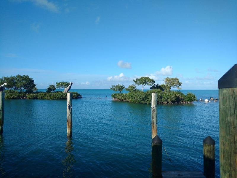 Conch Key Fishing Lodge And Marina