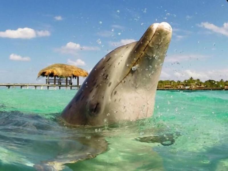 Conch Key Fishing Lodge And Marina
