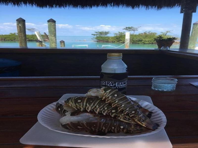 Conch Key Fishing Lodge And Marina