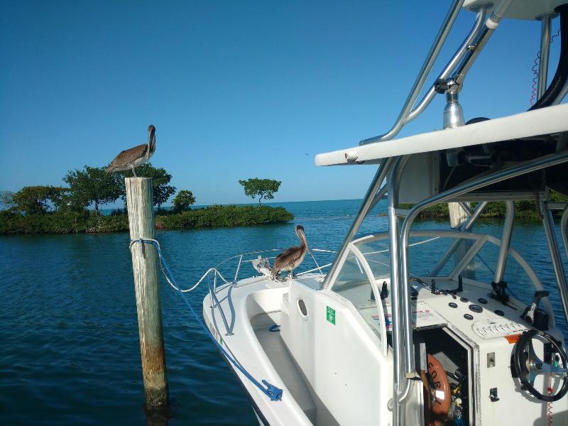 Conch Key Fishing Lodge And Marina